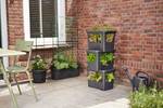 green basics stack & grow large living black